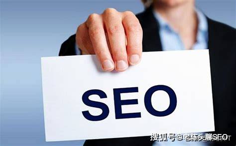 新手seo高效入门指南