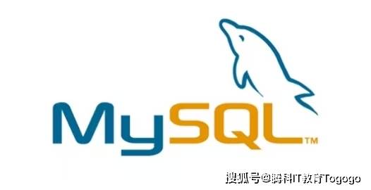 如何高效掌握MySQL数据库应用期末考试内容？
