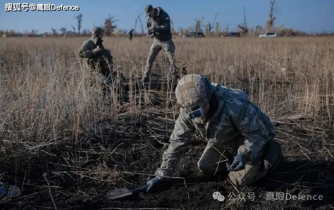 沉重而伟大的工作！寻找俄乌两军遗体，令人敬佩的乌克兰志愿者们