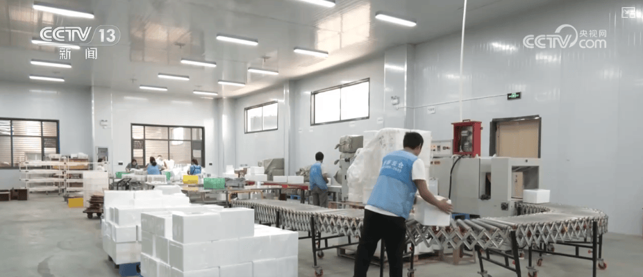 武林外史同人之我是朱七七:需求向好！消费、投资……“数”里行间看物流“跑”起来 消费“热”起来