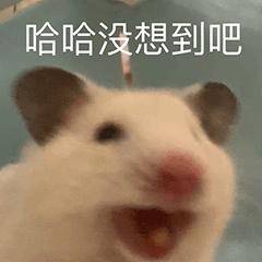 因为白菜价内存，长江存储在美国狂扁美国人