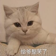 原创             苹果刚公布这项新技术，是想赶超华为？