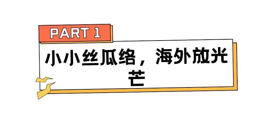 功能介绍30天卖了822万小小丝瓜络出口身价翻倍老外爆抢！