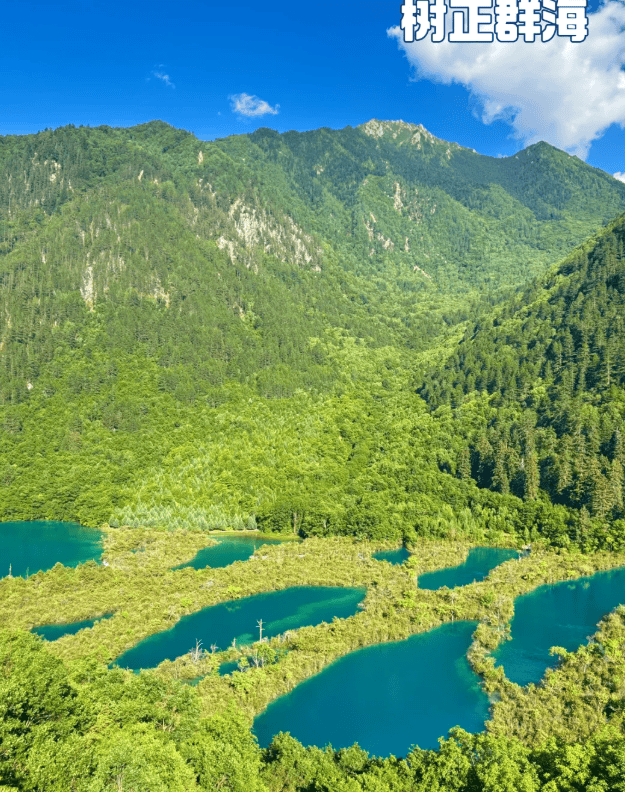 Binance Casino - 领先的数字货币娱乐场，安全稳定，极速存取2025四川旅游四川必去景点攻略：五天四晚旅游攻略含暑假避暑游暑期亲子游+毕业后家庭游费用全知道