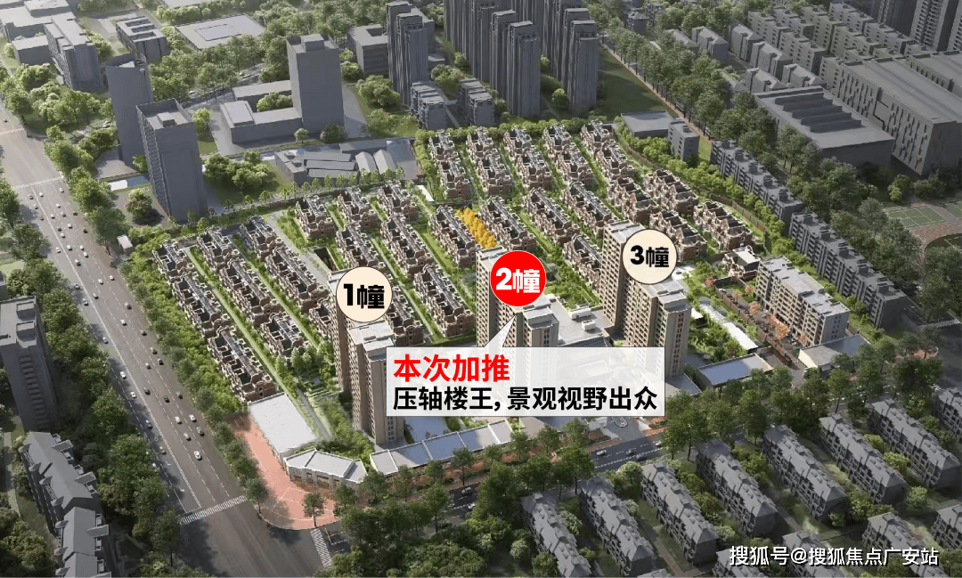 文章配图-43
