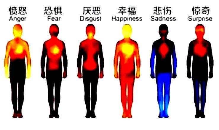 文章配图-158