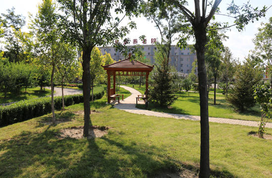 北京服务较好的知名养老院有哪些？北京市丰台区民族百家乐- 百家乐官方网站- APP下载养老院2025服务能力分析水平测评