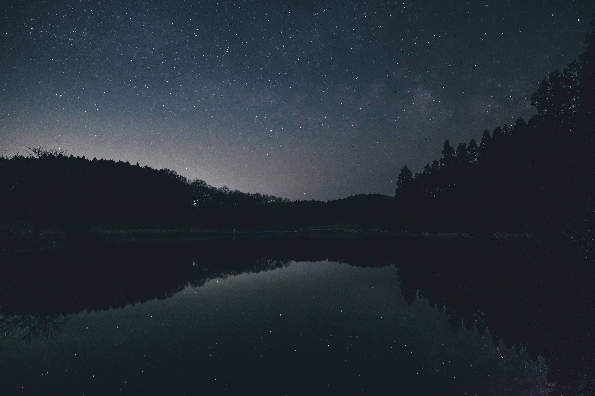 乐鱼体育- 乐鱼体育官网- APP世界杯指定平台留学中介机构十大排名最新