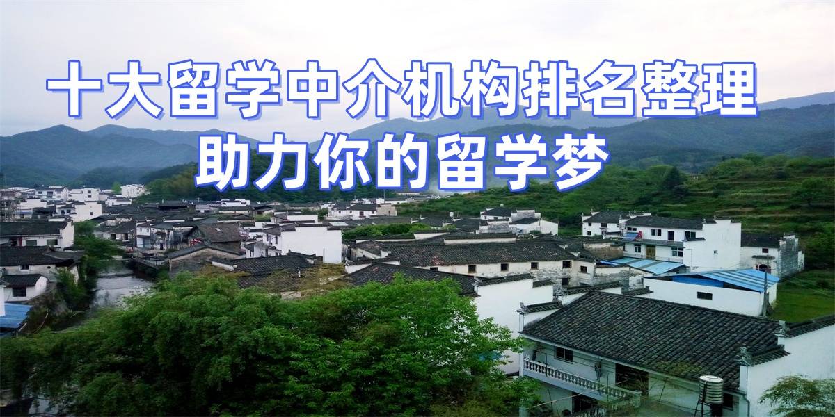 十大海外留学中介排名榜乐鱼体育- 乐鱼体育官网- APP世界杯指定平台