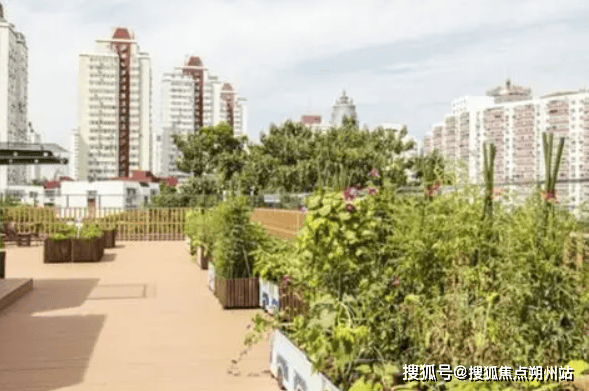 2025年北京养老方案！首开寸草亚运村院地理位置、收费及联系