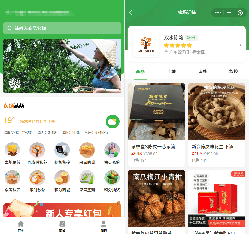 种灵芝+“四季有果”榛子基地拓宽农业经济价值冰球突破豪华版科技赋能青岛城阳认养农业:林下(图1) 种灵芝+“四季有果”榛子基地拓宽农业经济价值冰球突破豪华版科技赋能青岛城阳认养农业:林下(图1)