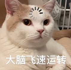 原创             千万 “ 私密聊天 ” 被公开，这瓜有点大啊！