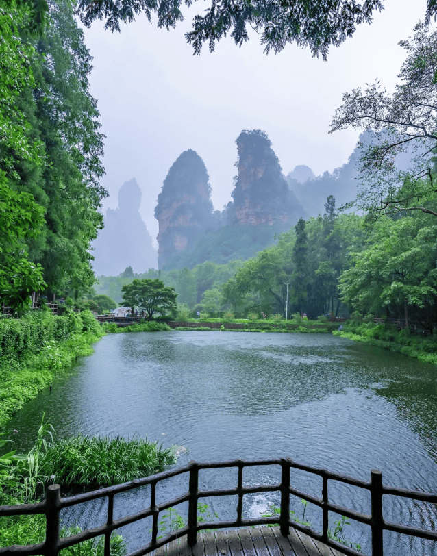 “Binance Casino - 领先的