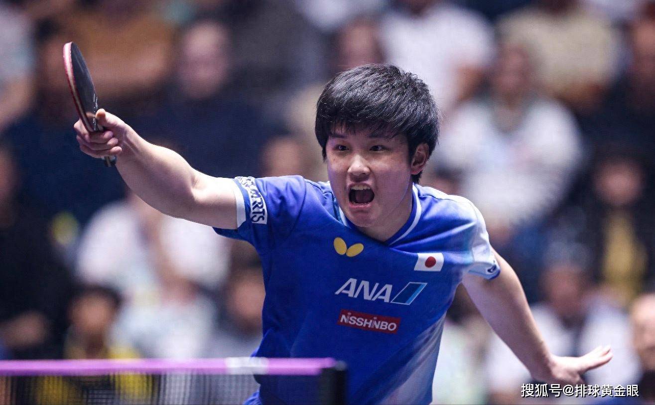 原创             张本智和又输了!赛前说大话被打脸遭翻盘,瑞典一哥夺冠希望大增