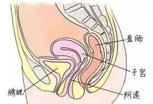 阴毛多的女性性欲比较强吗?关于私处5个不为人知的小秘密