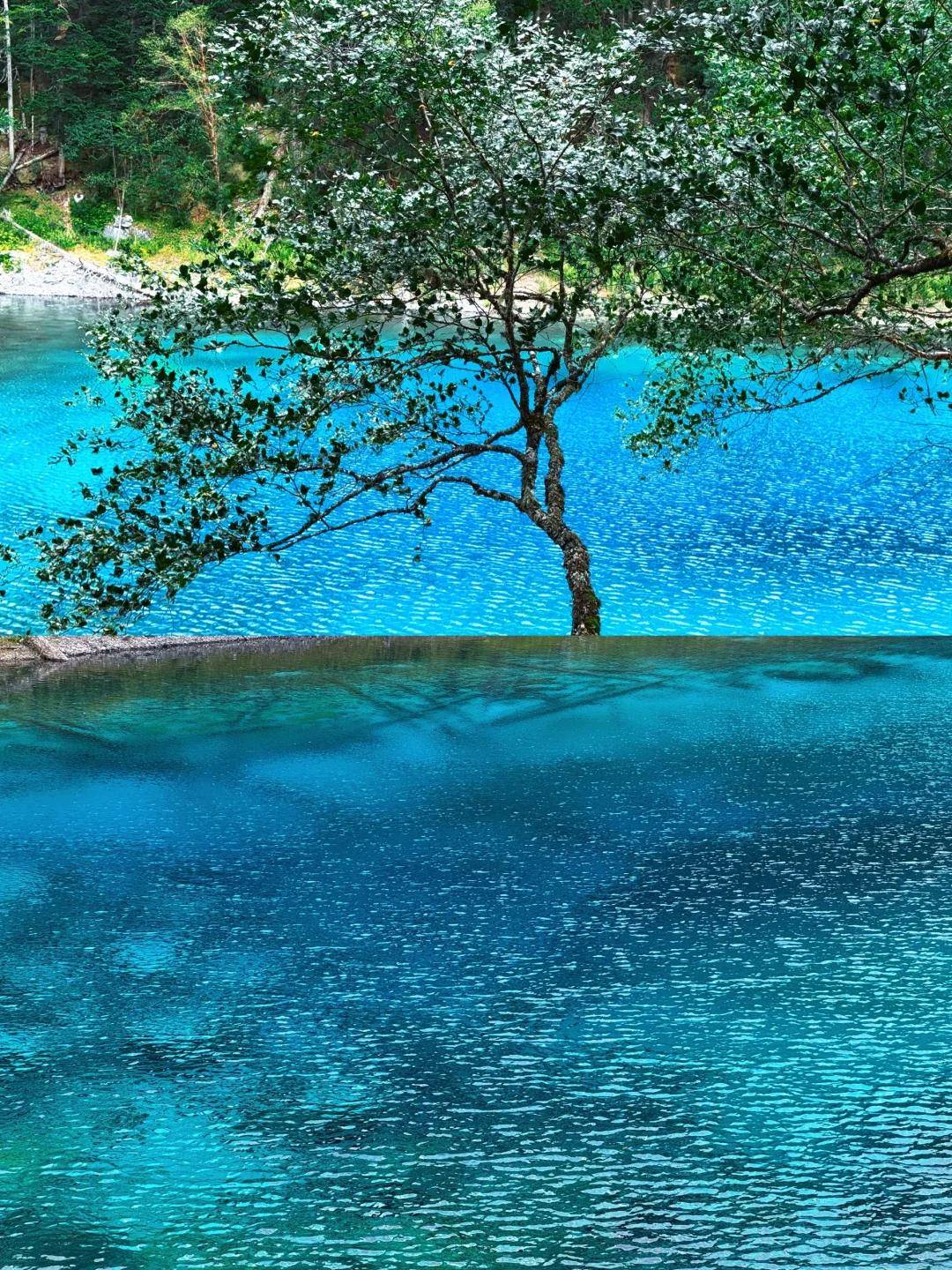 四川旅游4天路线【OKX 哈希游戏】区块链加密游戏玩法教程，新手必看！推荐｜金牌导游带队体验+费用一览