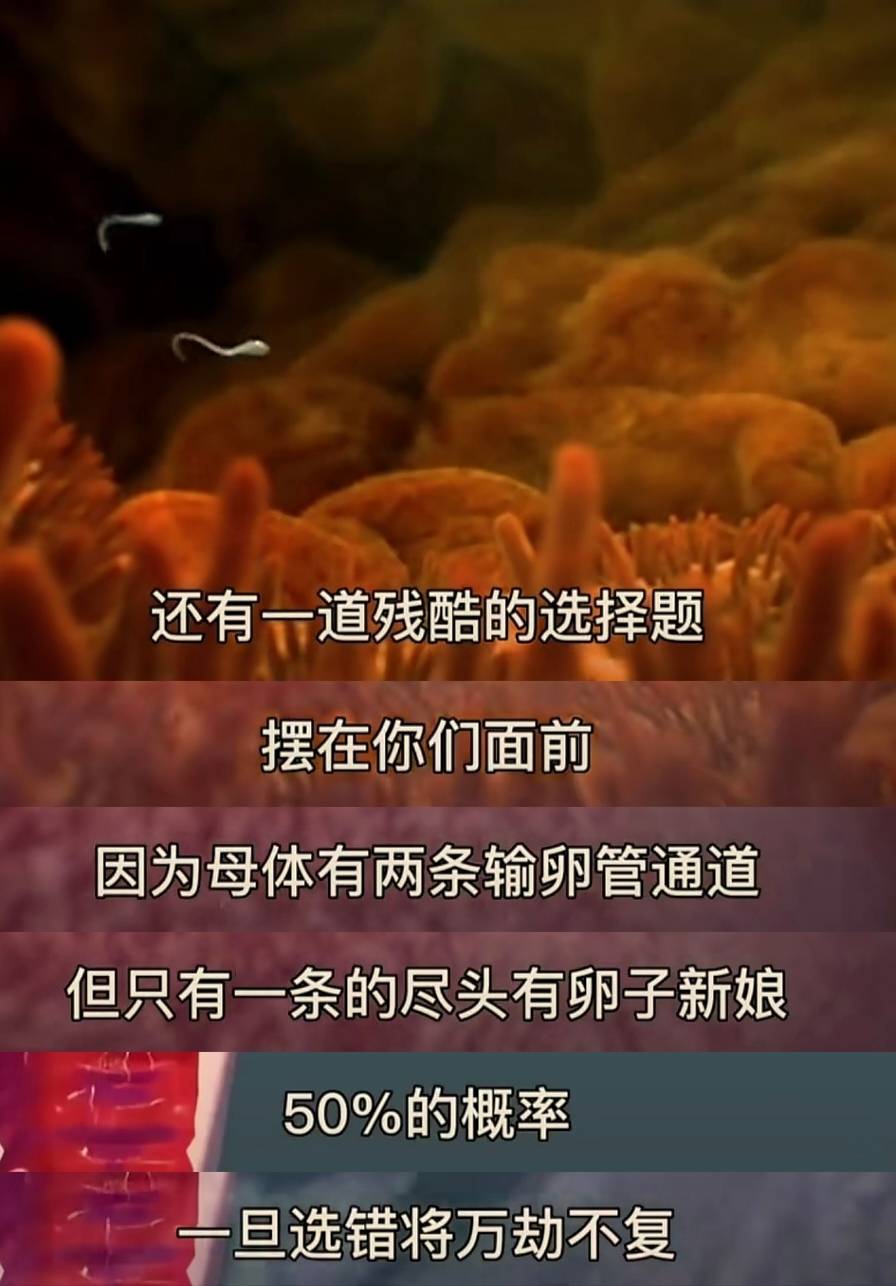 女人体内没有受精的精子去哪里了?身体这样悄悄处理