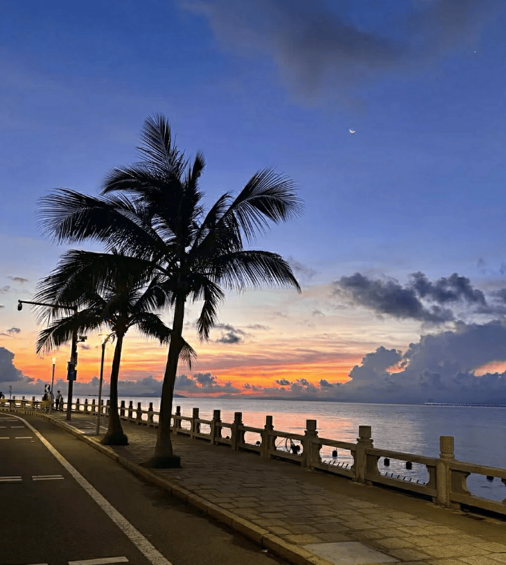 【OKX 哈希游戏】区块链加密游戏玩法教程，新手必看！第一次去厦门旅游必看！厦门旅游攻略五天四晚行程+费用全解析景点明细+亲身经历分享看完不踩坑