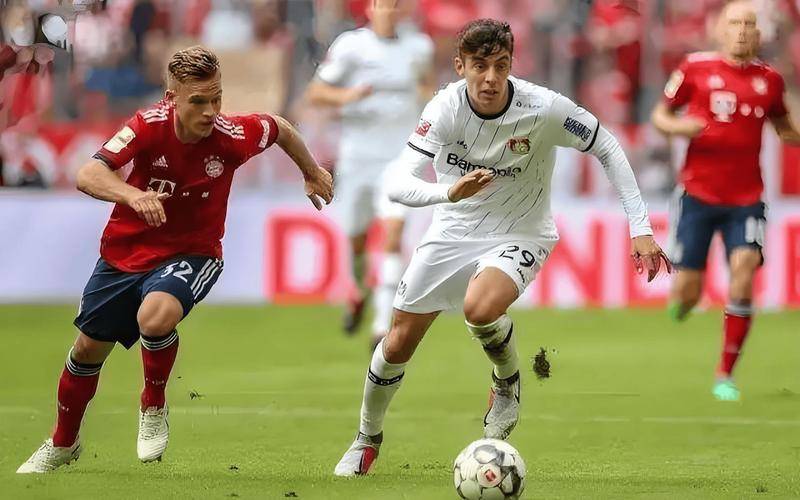 欧联杯卢多戈雷茨对阵塞尔塔主队主场强势客队状态火热争夺多宝体