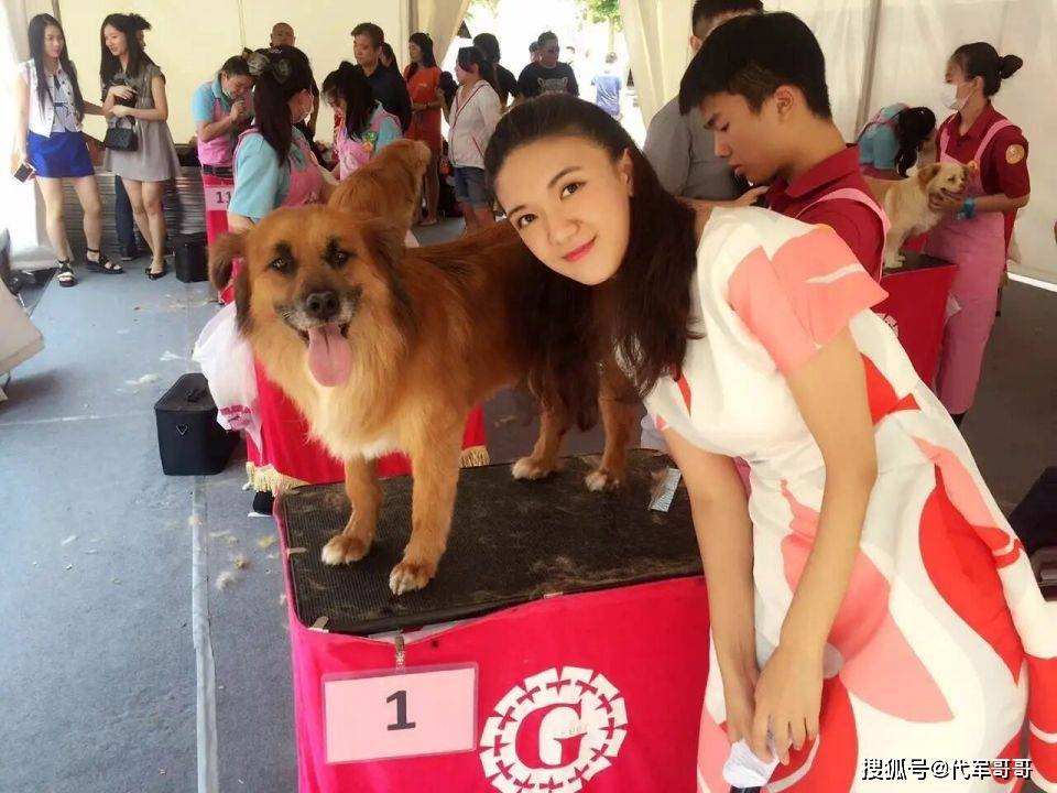 58岁演员周惠林娶31岁央视主持人,女儿才三个月大,婚姻生活很幸福