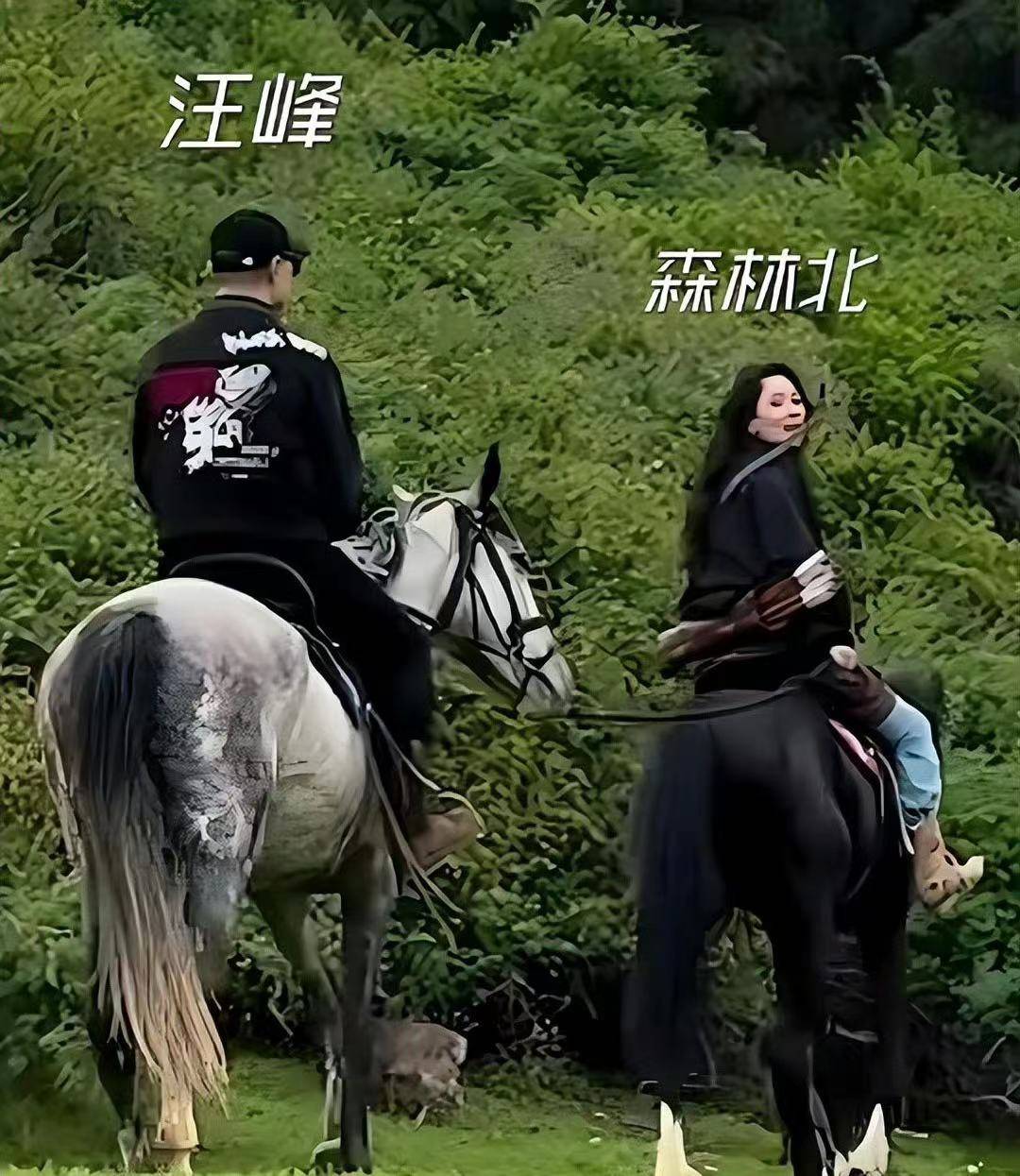 森林北疑现身汪峰天津演唱会，坐在V1区，没跟男友嗨却在刷手机