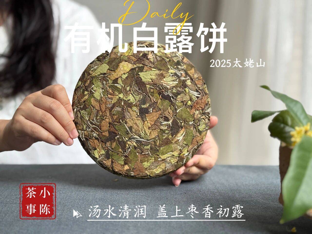 文章配图-3