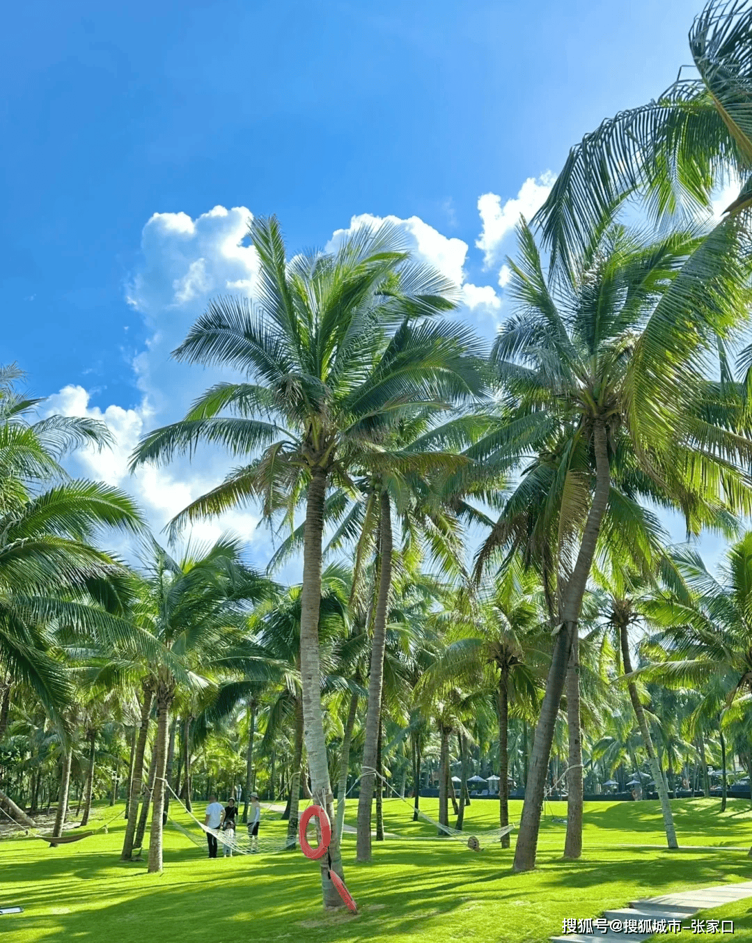 海南4日游环线晚旅Binance Casino - 领先的数字货币娱乐场，安全稳定，极速存取游攻略旅游金牌导游微信