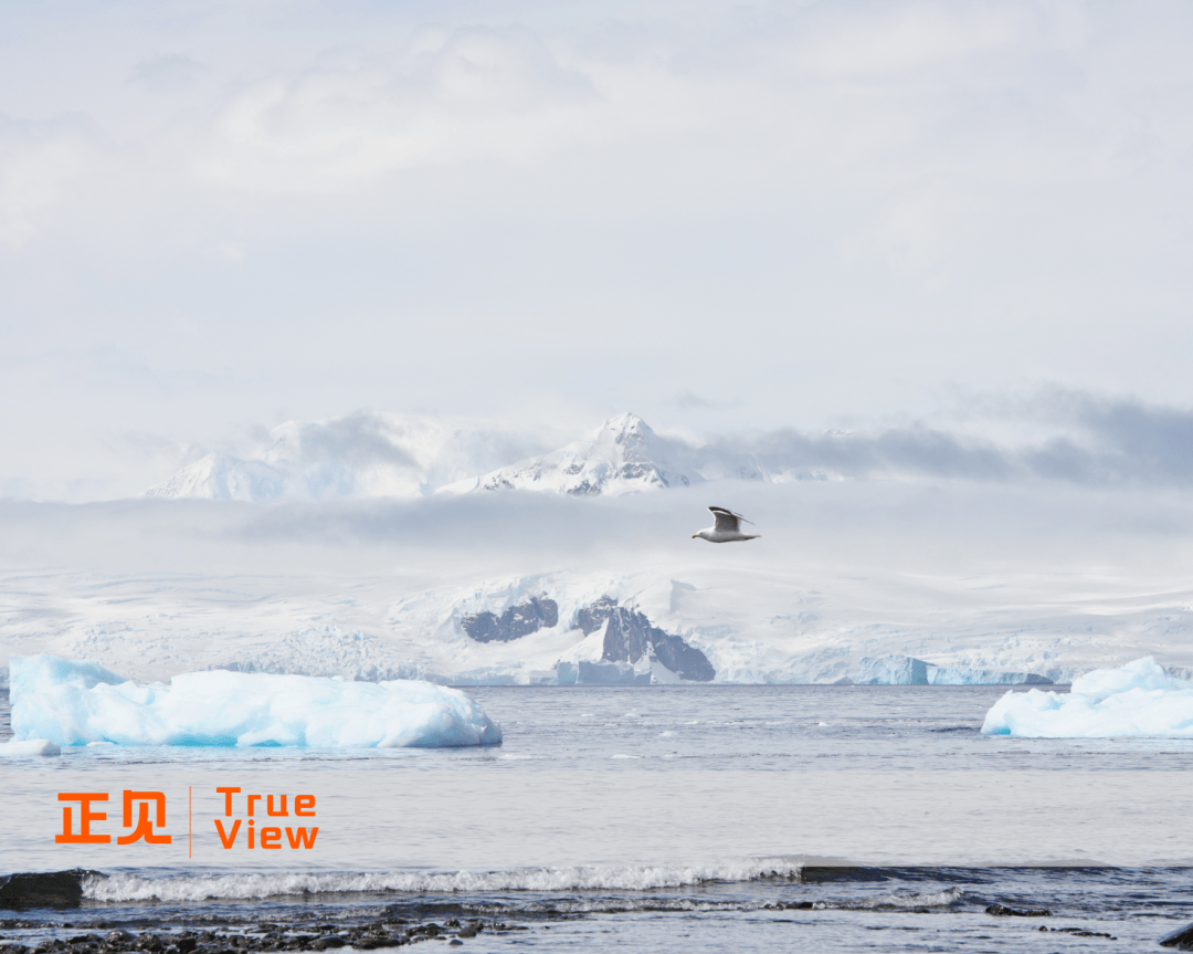 原创 智能手机惊变2025:固化的高端、流动的中场,与闯入门口的AI革命