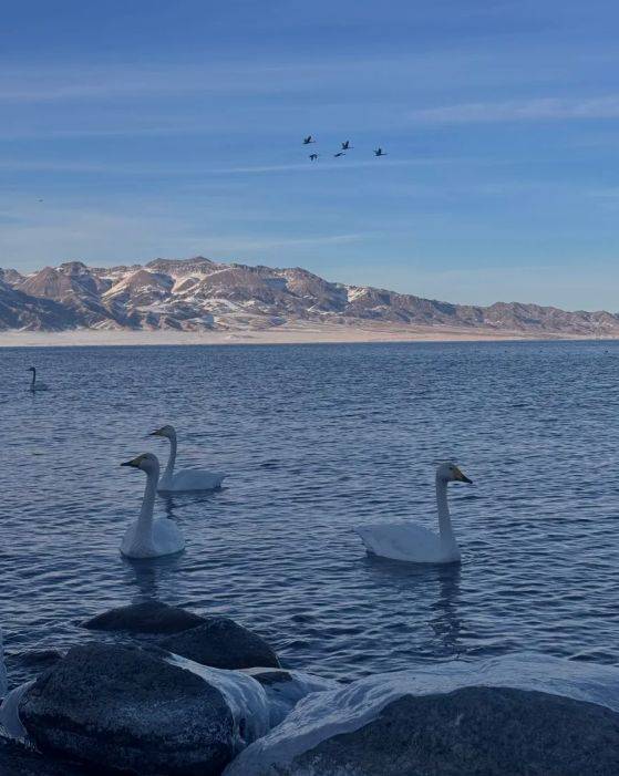 游领衔2025新疆高信誉旅行社TOP10不朽情缘网站5000+游客亲测揭晓：远胜(图3)