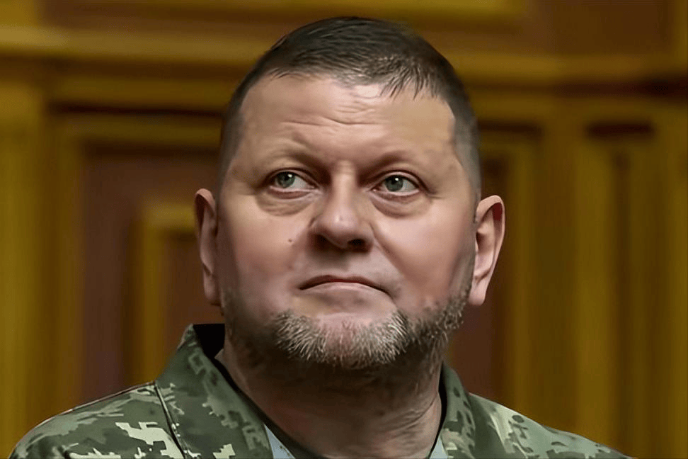 难怪扎卢日内骂骂咧咧，乌克兰反攻4年，泽连斯基把战果全都败光了！