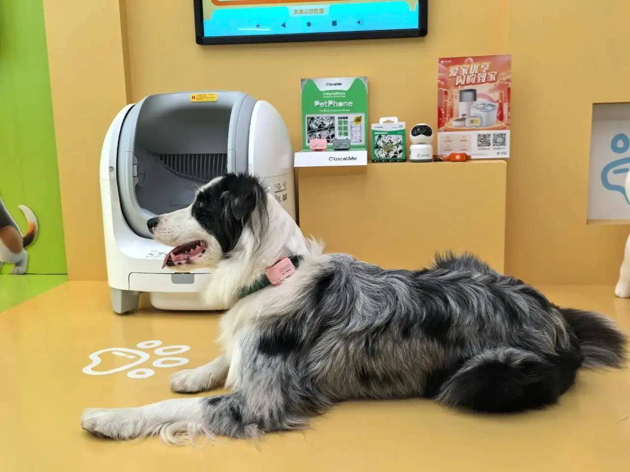 暴走2万步逛遍CES2026：9大方向最火，中企霸场，机器人全明星大乱斗