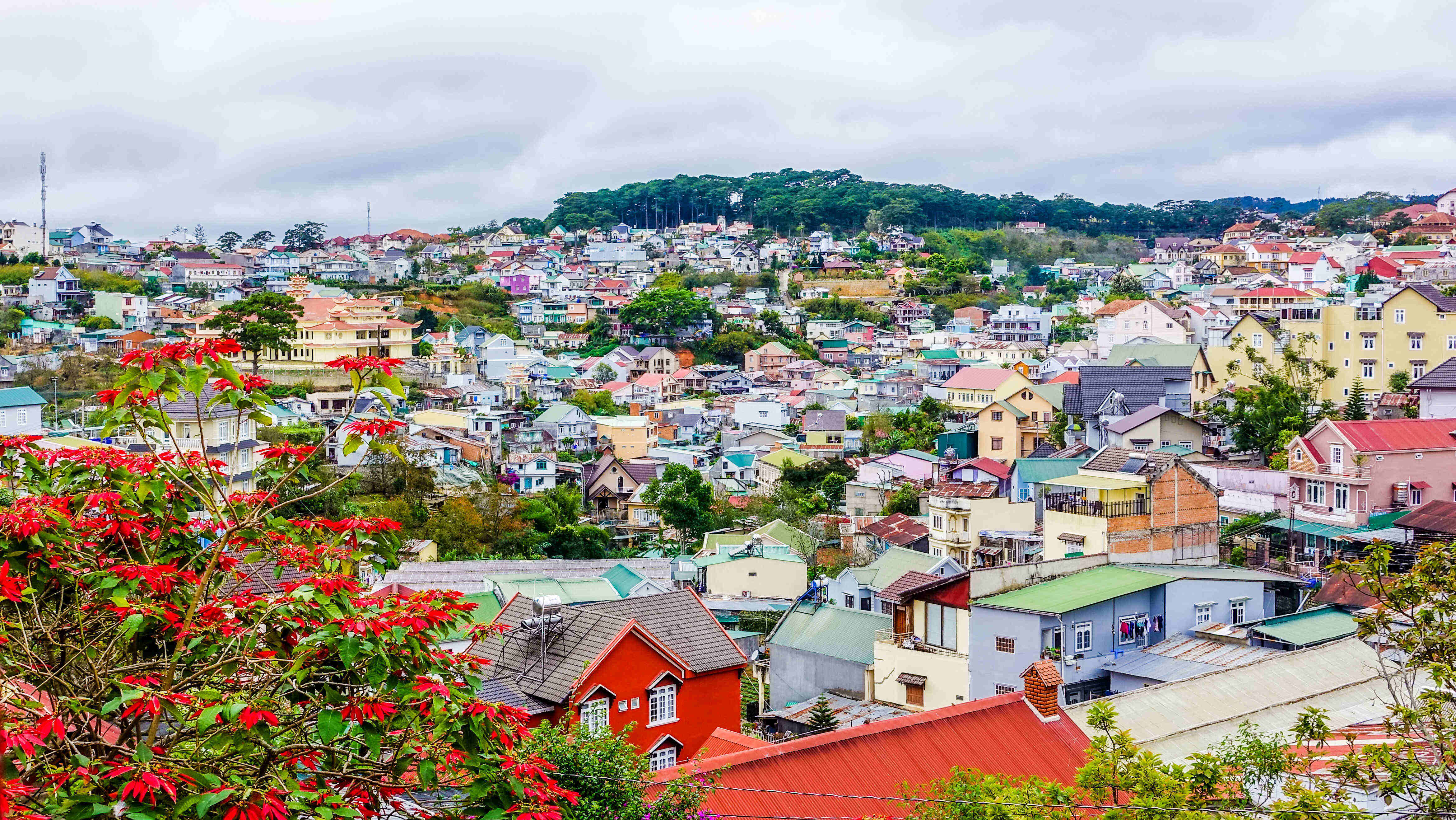 福州硕士留学中介排名深度分析录取案例多助你顺利出国留学乐鱼体育- 乐鱼体育官网- APP世界杯指定平台