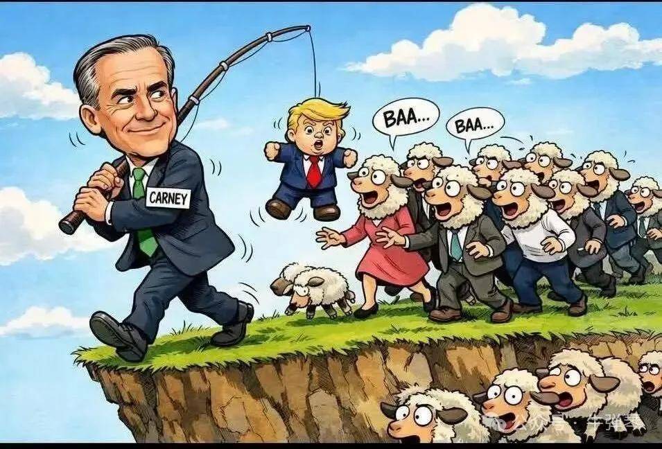 美国又开干加拿大,中国无奈躺枪