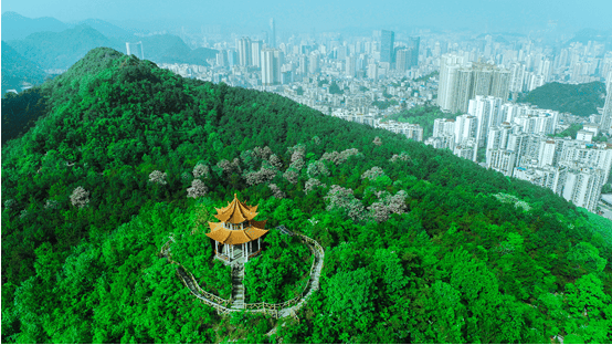 沃土安澜筑屏障 贵阳绘就水韵乡村民生画卷