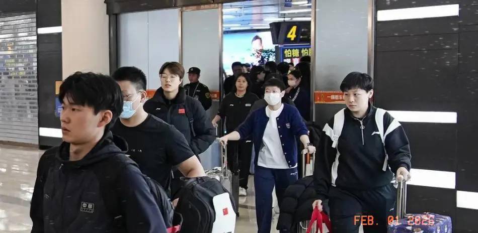 莎头组合伤愈首秀海口！副市长方言助阵这座城球速体育- 球速体育官方网站- APP下载市为宠粉太拼了