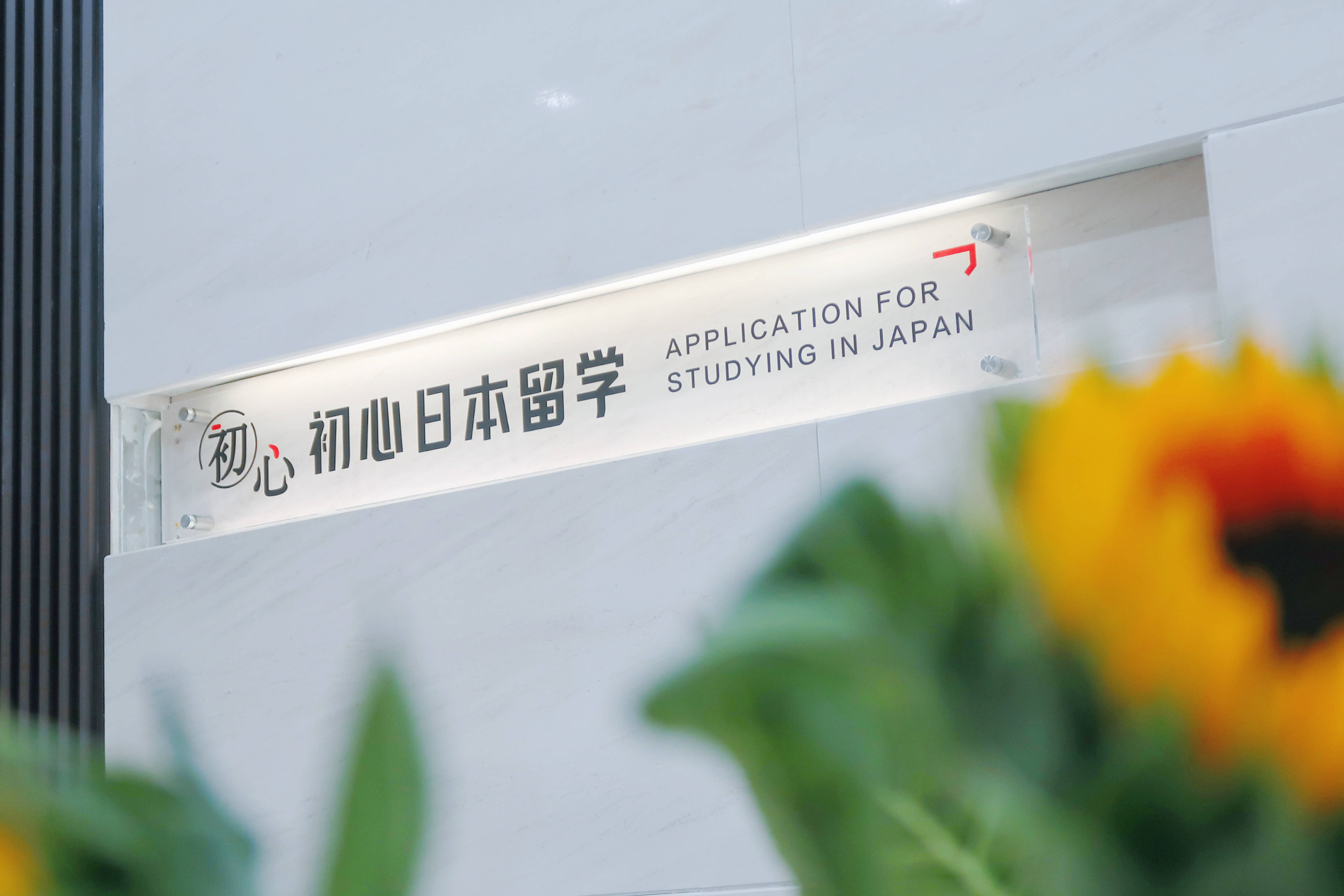 日本留学靠谱的机构乐鱼体育- 乐鱼体育官网- AP