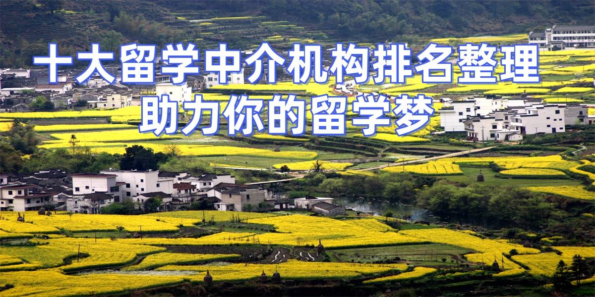 2026年济宁留学机构排名榜发布！双非学生择校参考