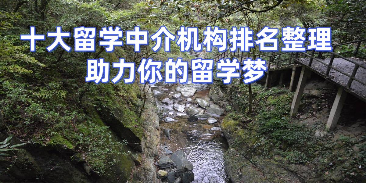 乐鱼体育- 乐鱼体育官网- APP世界杯指定平台考