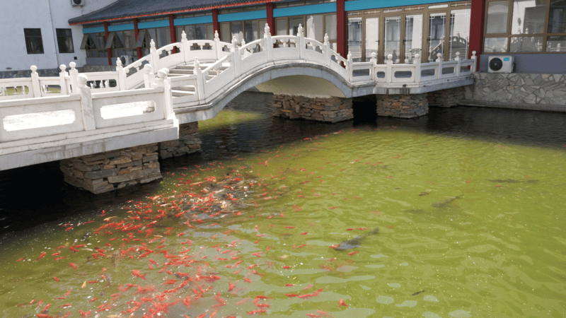 2026北京市通州区三乐康复老年公寓探访：医养结合护理院失能