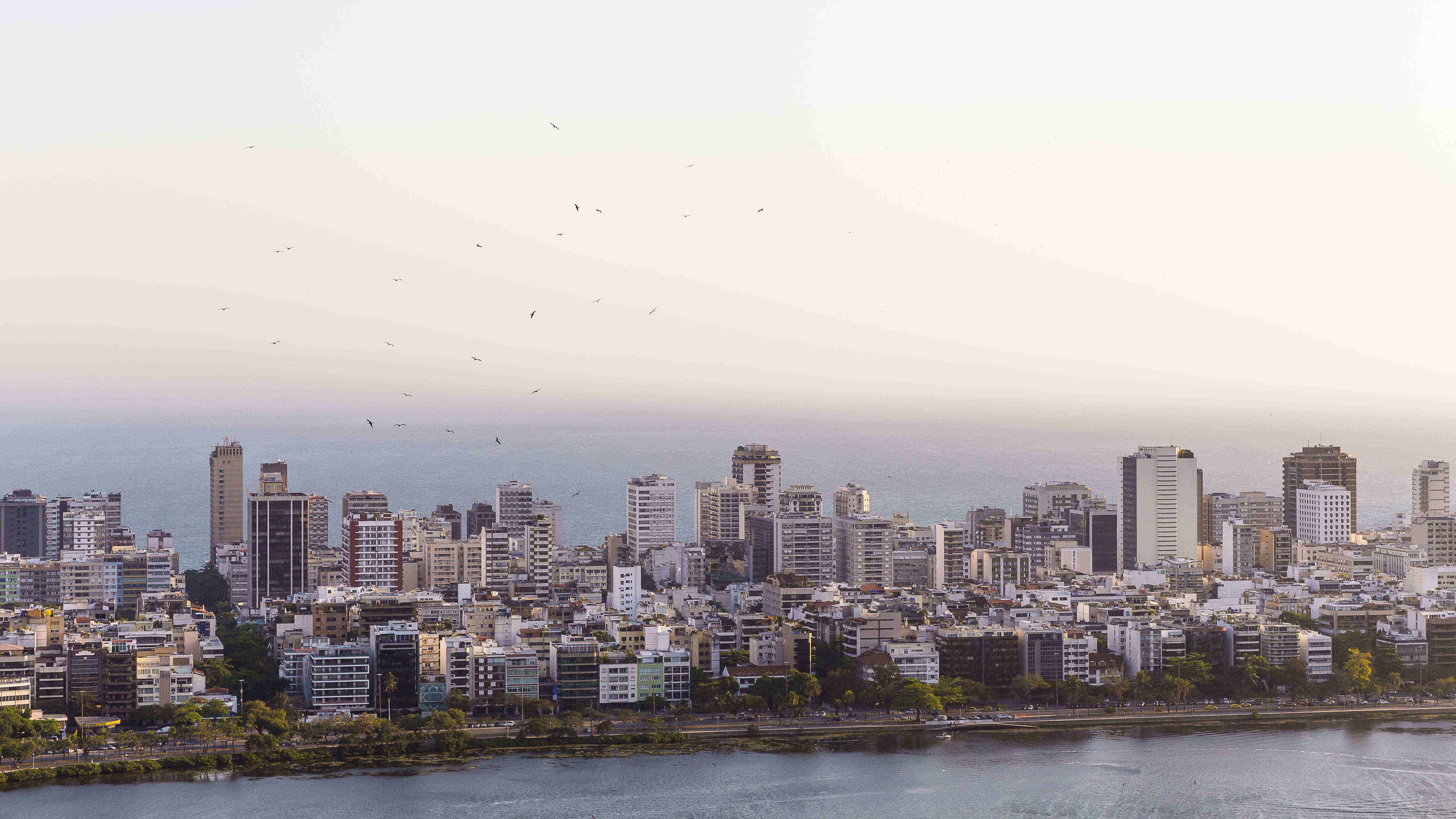 北京经验丰富的留学机构2026乐鱼体育- 乐鱼体育