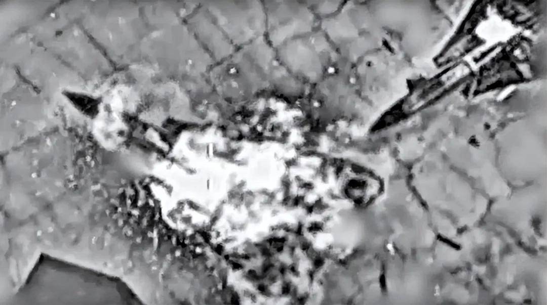 F-35实战首杀！以色列击落一架伊朗雅克-130，伊朗空军哪去了？