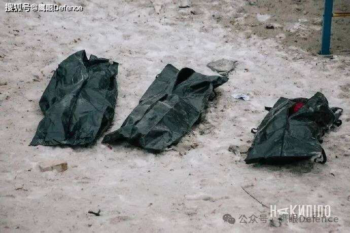 摧毁俄军无人机基地，摧毁黑海武装平台！乌克兰母子双双罹难