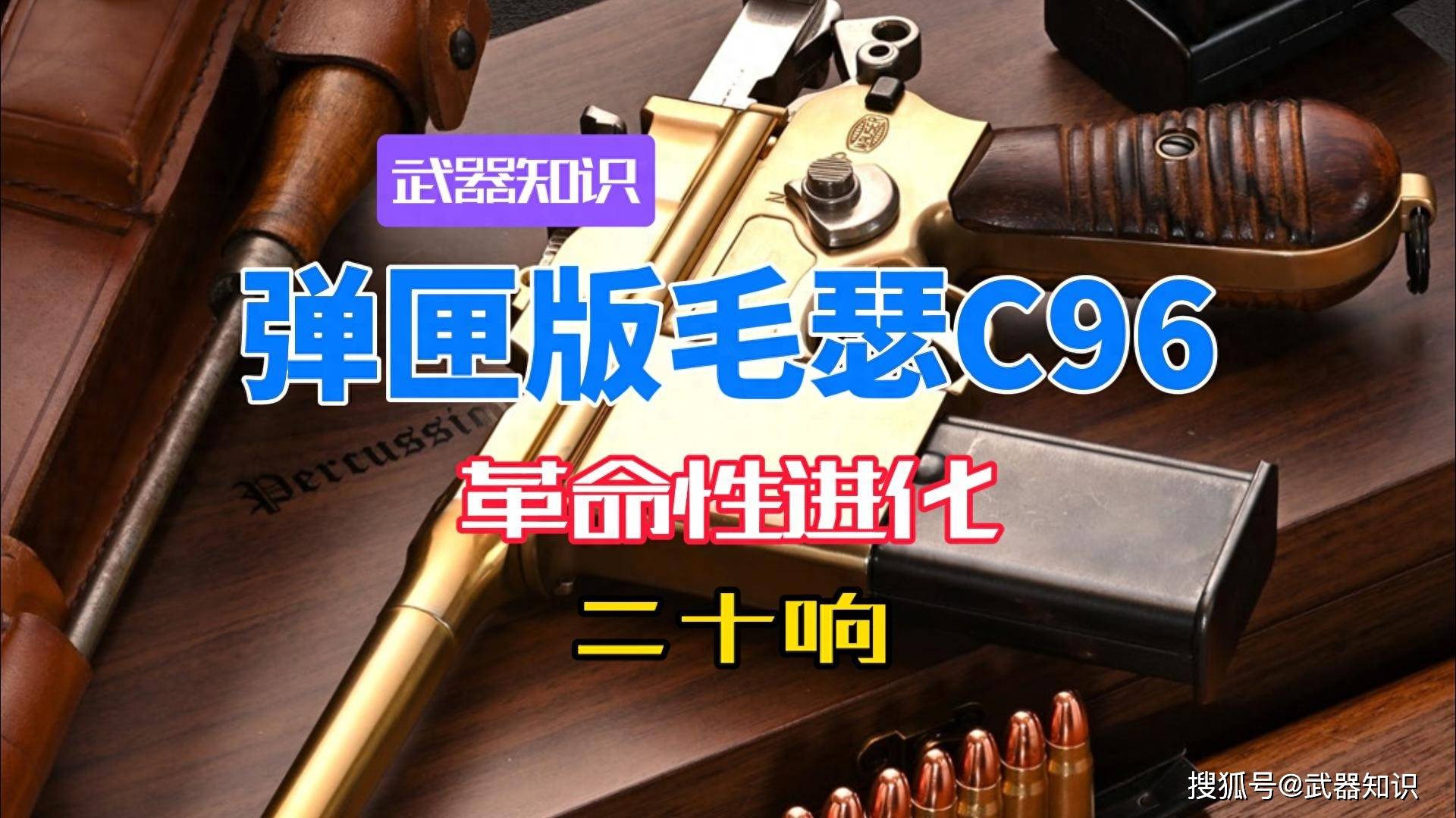 从固定弹仓到可拆弹匣 毛瑟C96系列供弹系统的革命性进化