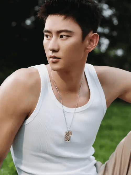 罕见亮相，宁泽涛发声，上任新岗位，巅峰退役原因终于曝光