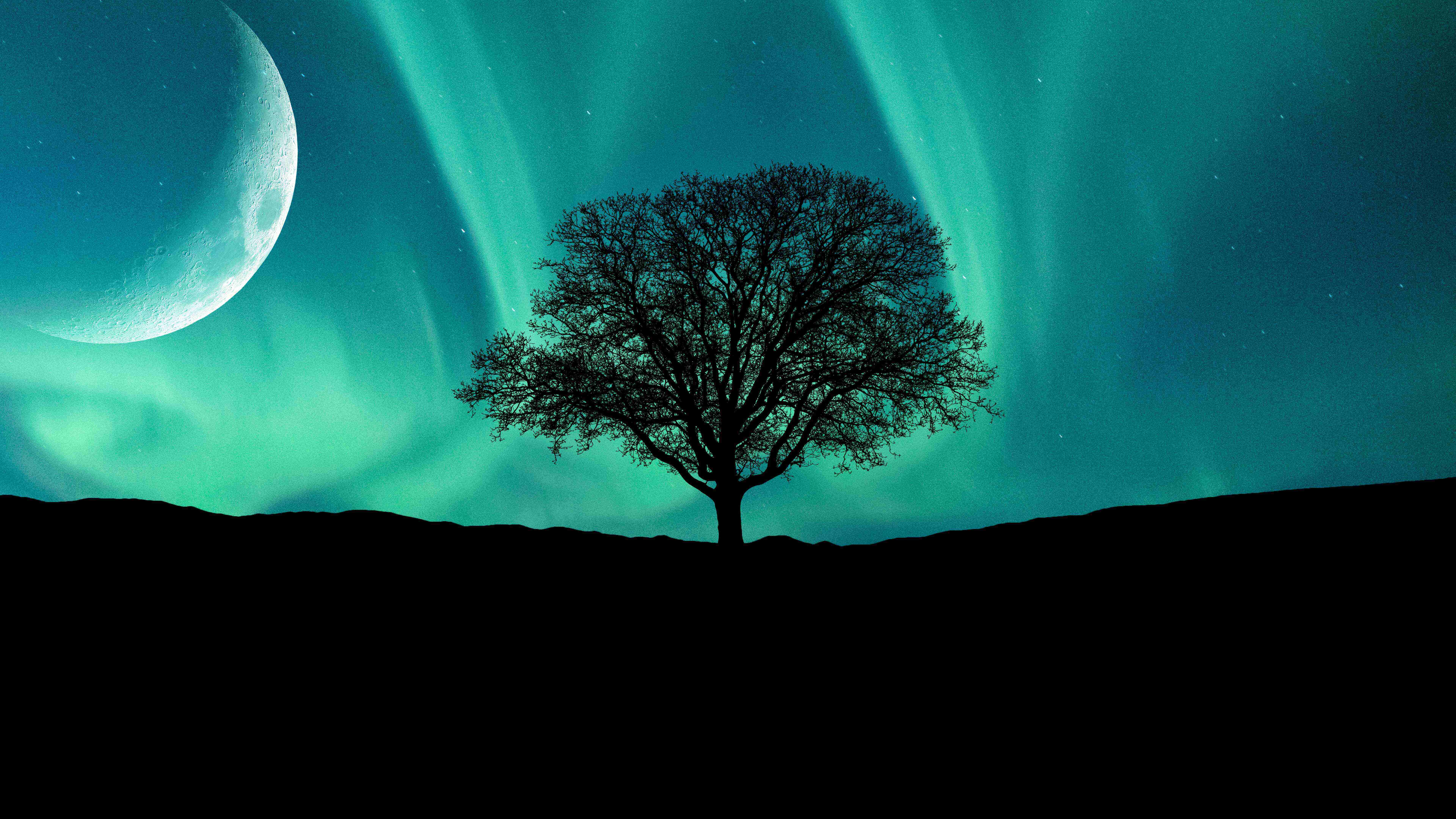 乐鱼体育- 乐鱼体育官网- APP世界杯指定平台2026年香港留学中介哪家好？性价比高机构全面评测