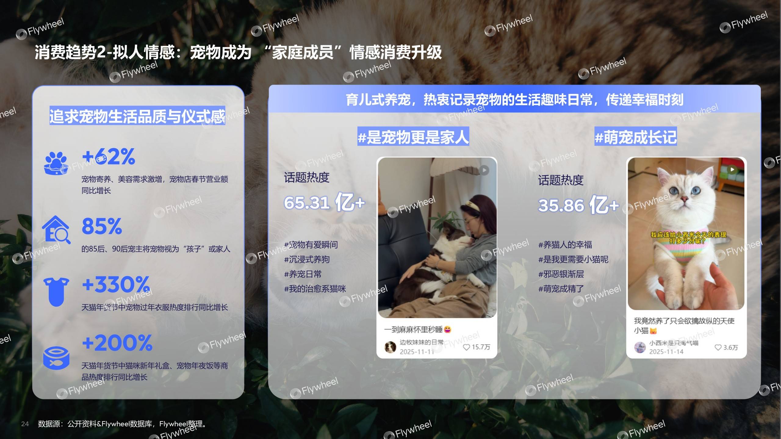 《2026宠物行业趋势报告》发布:宠物经济浪潮下的需求与机会(图15)