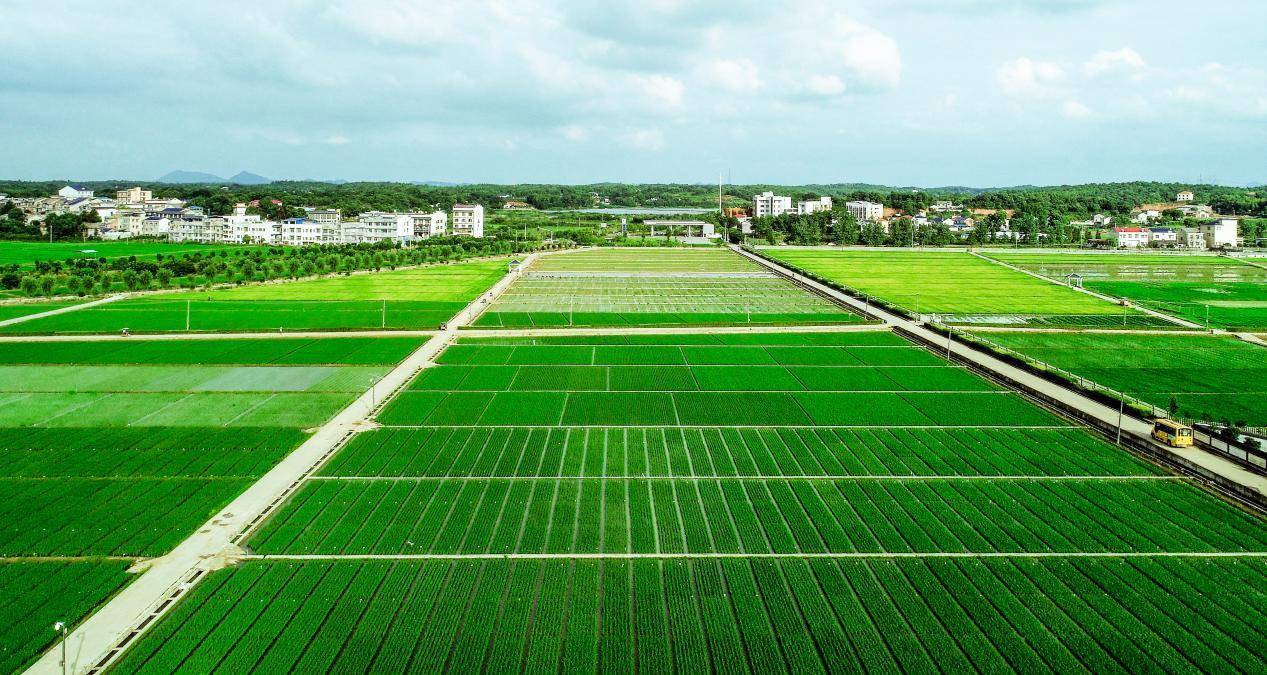 试用期长的VPN加速器