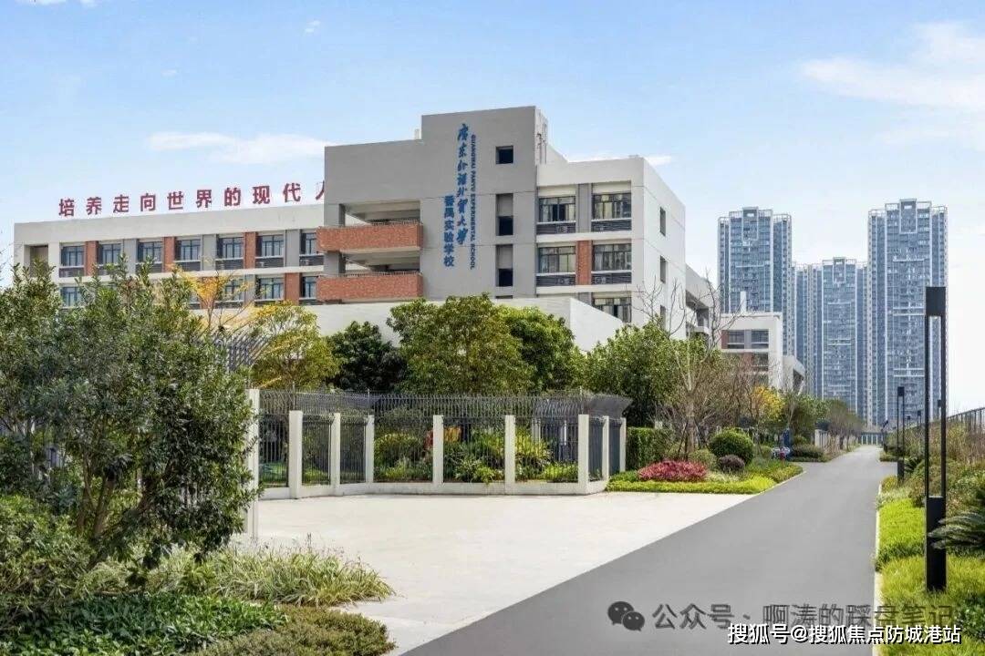 文章配图-3