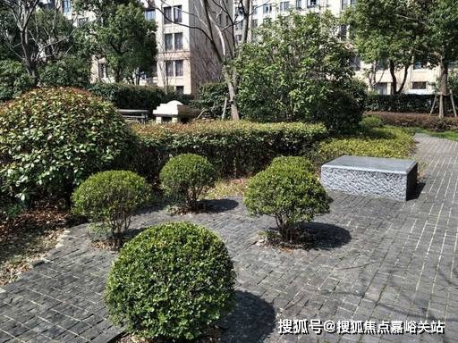 文章配图-6