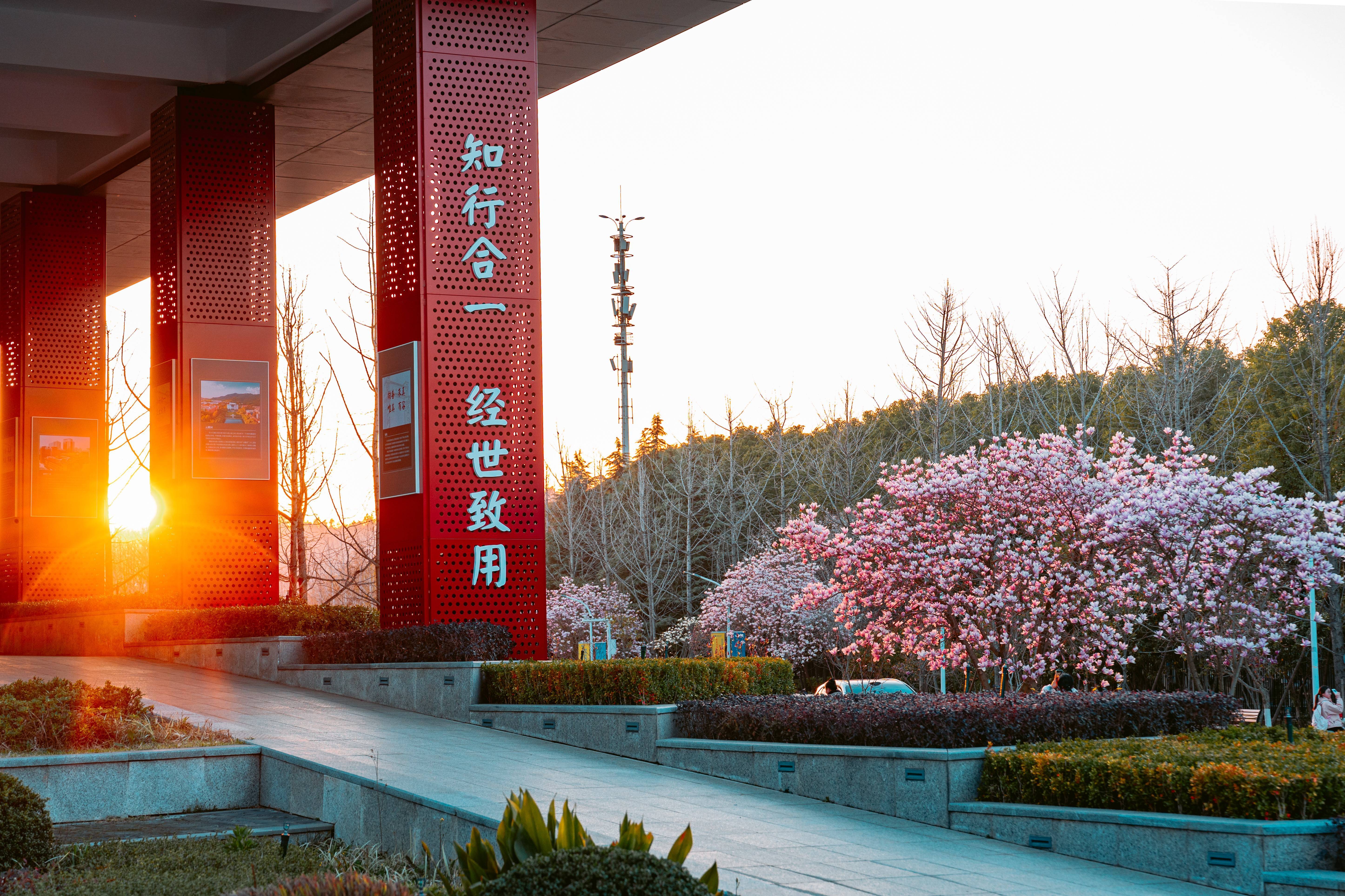文章配图-2